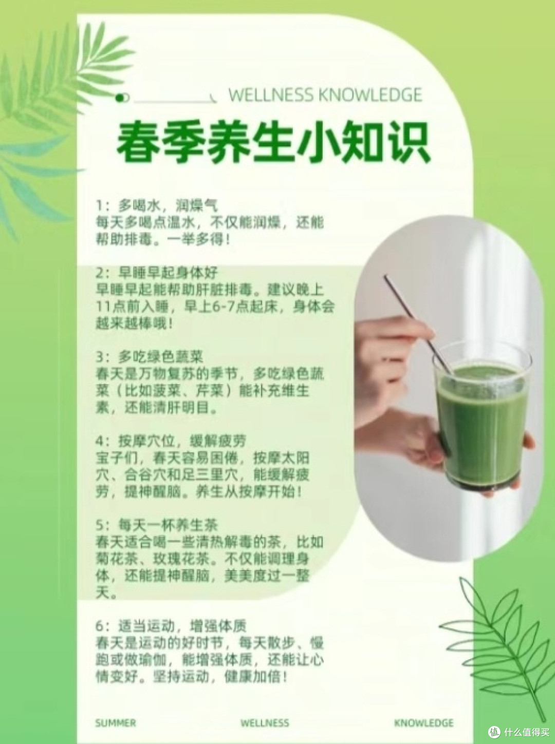 春季养生“排雷”指南：别让食疗谣言拖垮你的健康