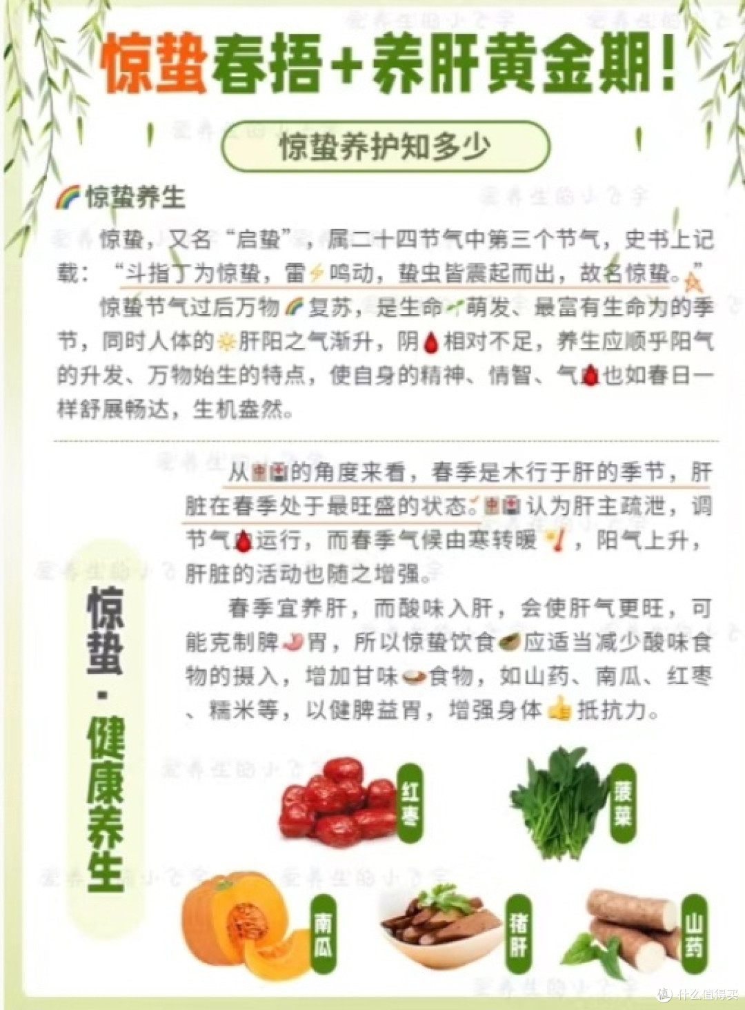 春季养生“排雷”指南：别让食疗谣言拖垮你的健康