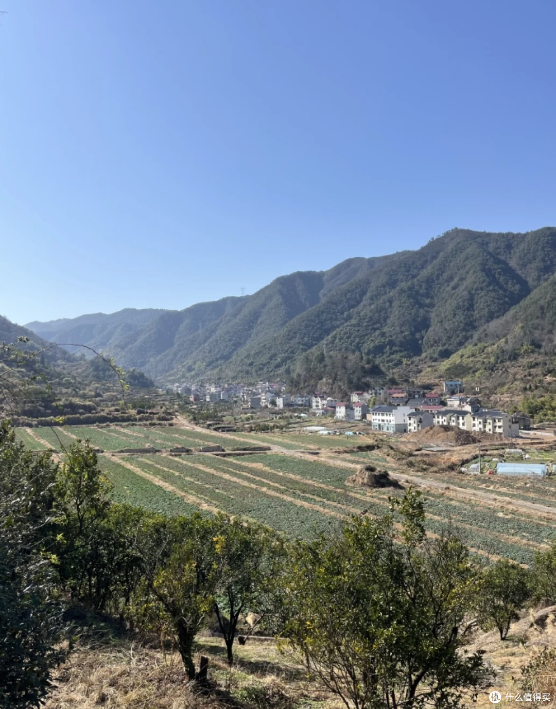 两会结束了,城里人想要在农村买房,彻底没机会了