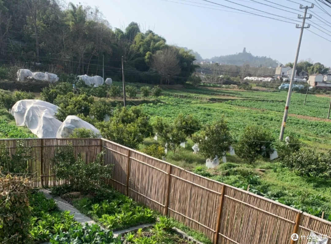 两会结束了,城里人想要在农村买房,彻底没机会了