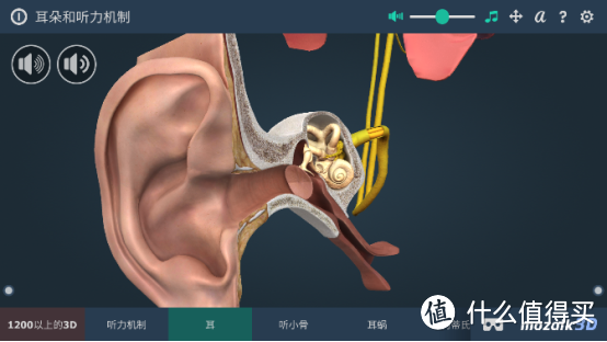 三维动态