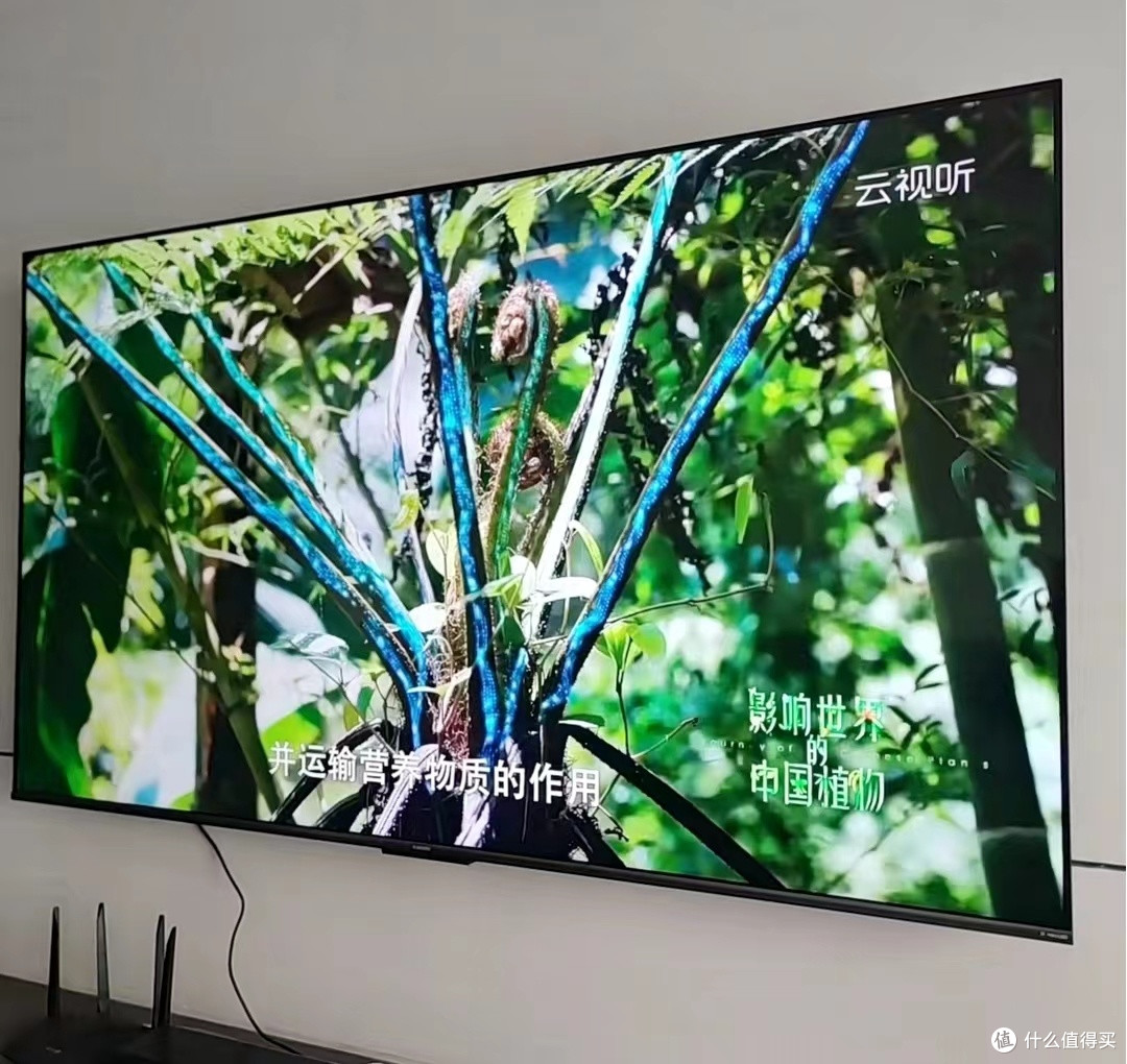 小米电视S75 Mini LED：75英寸大屏的性价比之选 