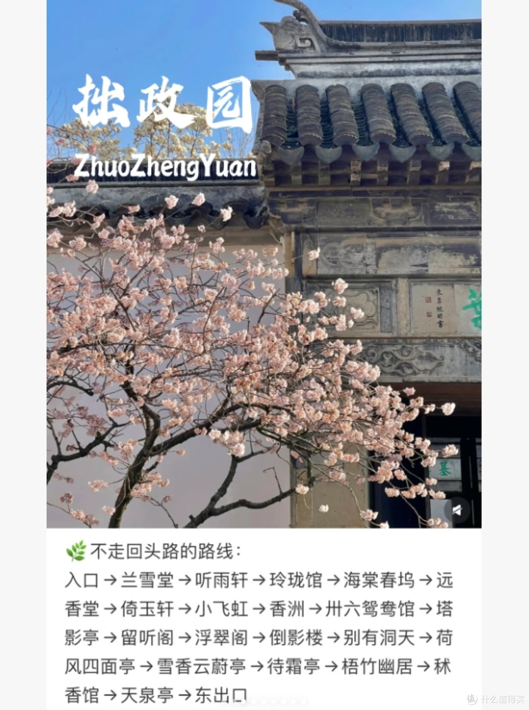 春日苏州｜更适合女生游玩的两天路线！