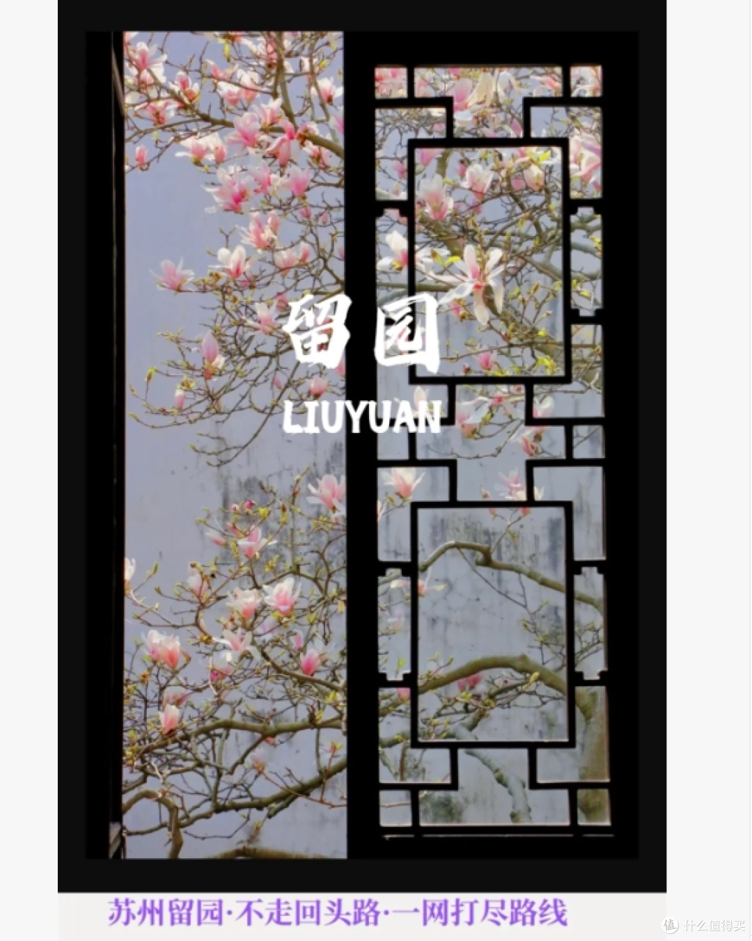 春日苏州｜更适合女生游玩的两天路线！