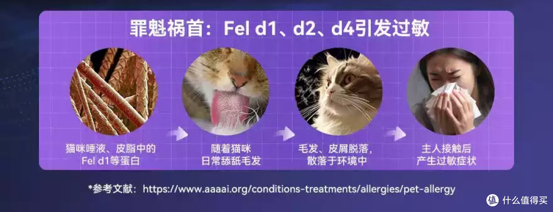 猫毛过敏科研突破!洛卫家专利技术如何用IgY技术为猫咪带来健康