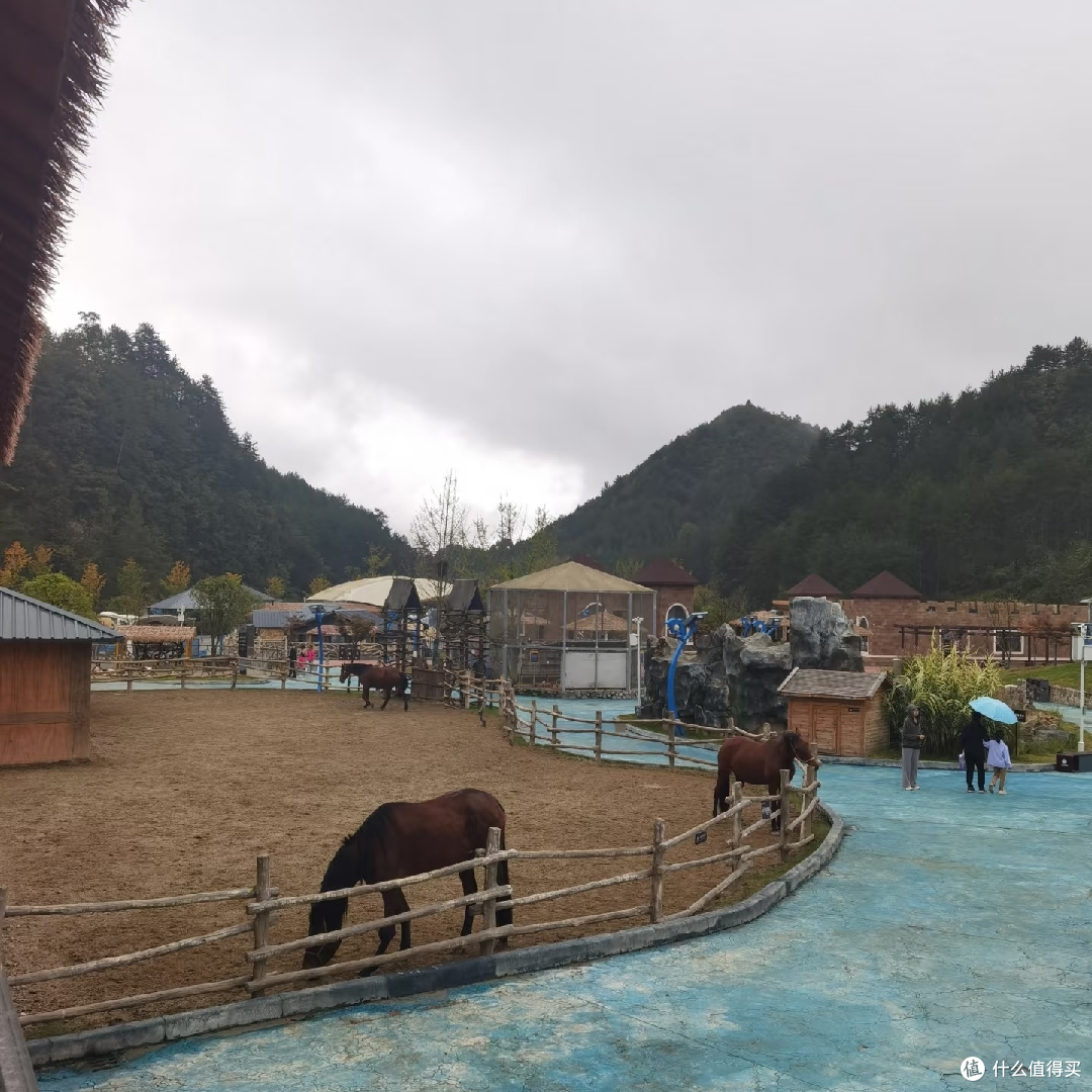 红叶秋色不输三峡,重庆至秦岭5天自驾攻略!