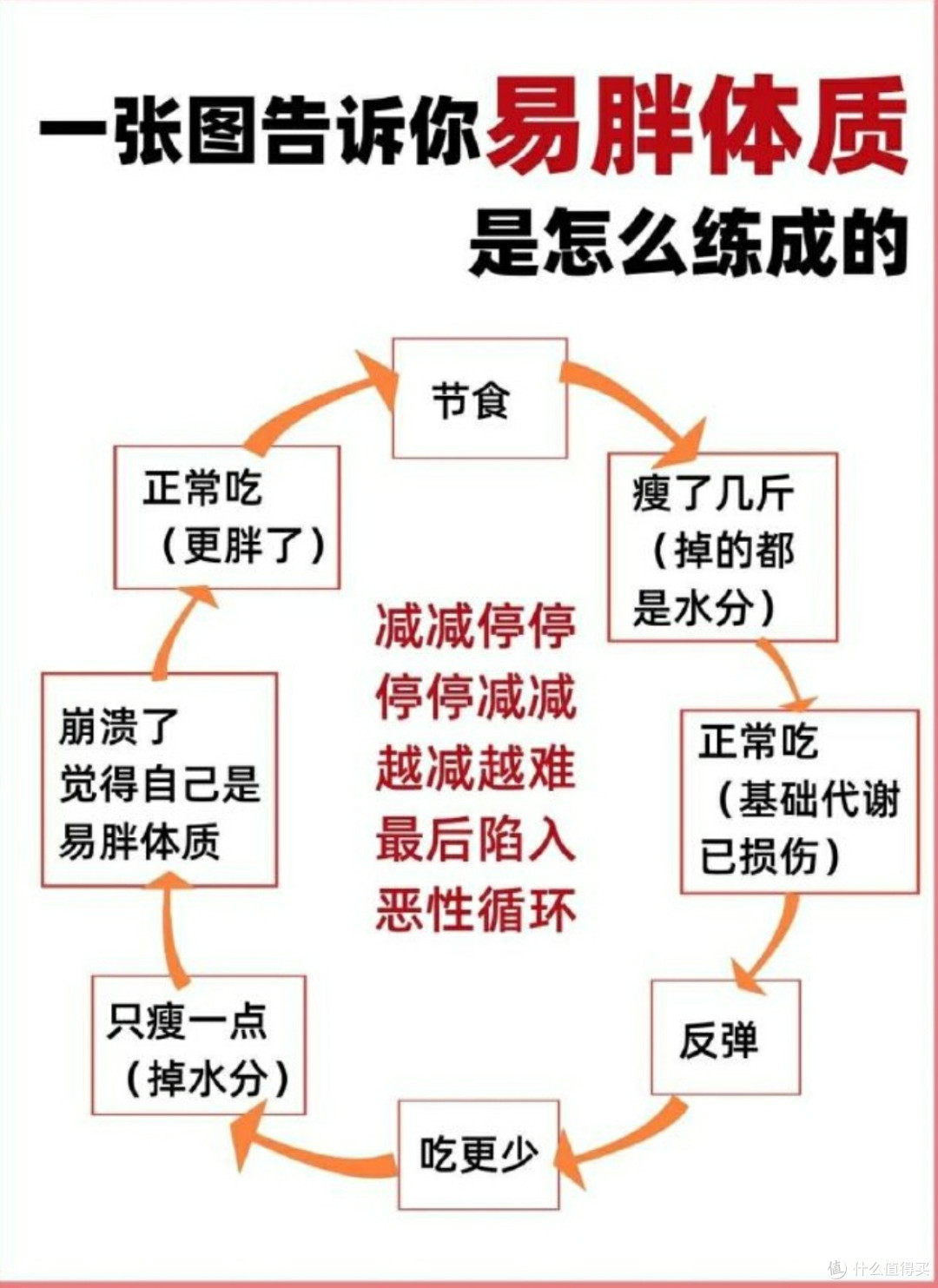 科学减肥法大盘点:低碳水、高蛋白,哪一种适合你