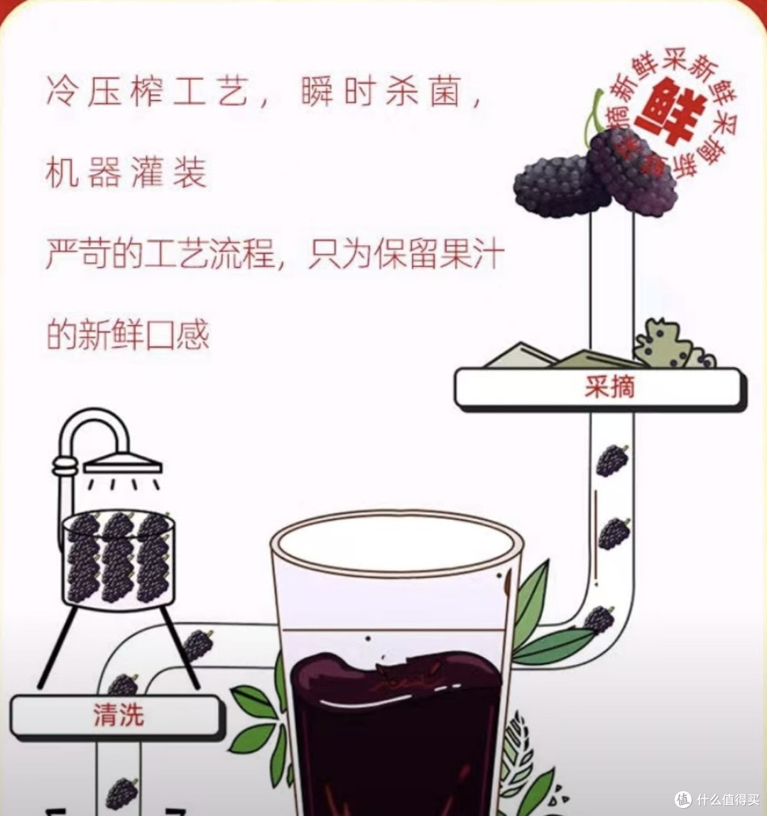 桑加1 NFC100%桑葚汁:探寻纯粹果汁的品质密码
