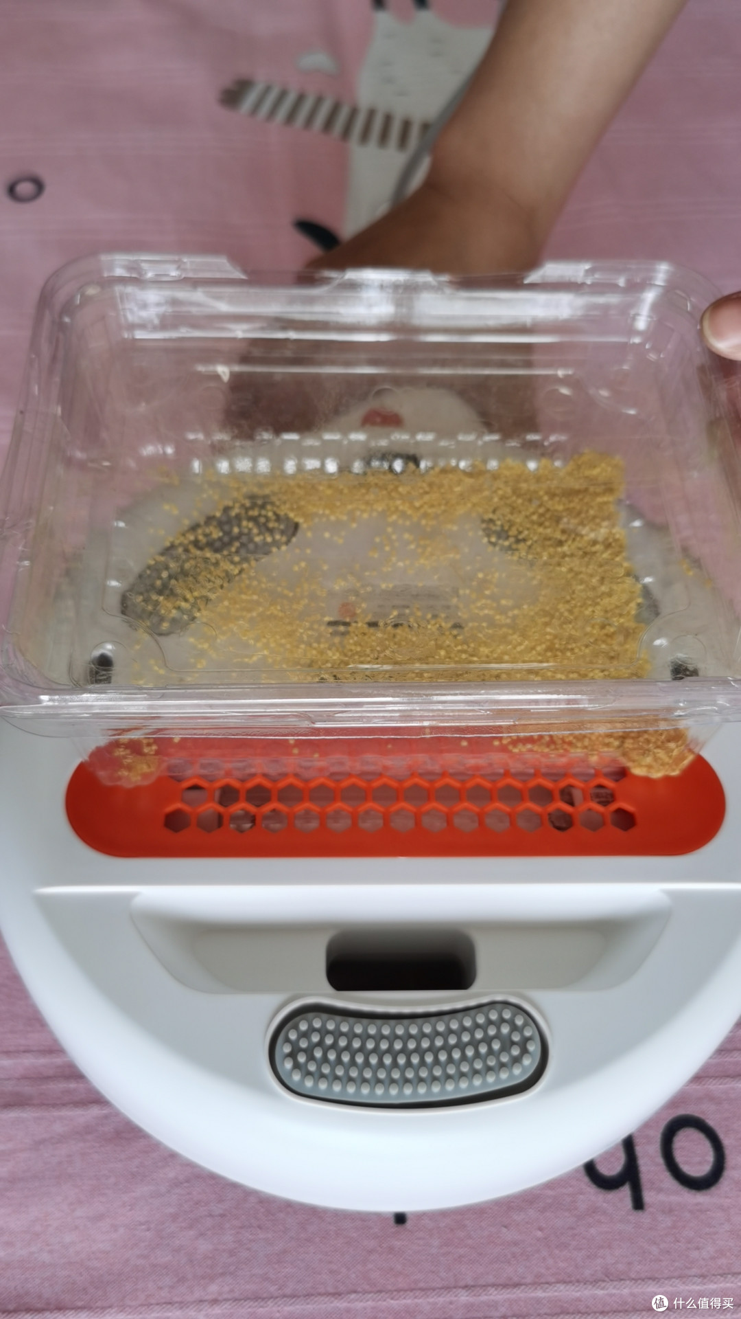 晒被子杀螨?中科院实验打脸:阳光除螨率仅17%!新技术效率翻5倍