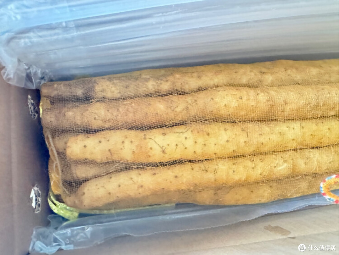 春天健脾吃山药