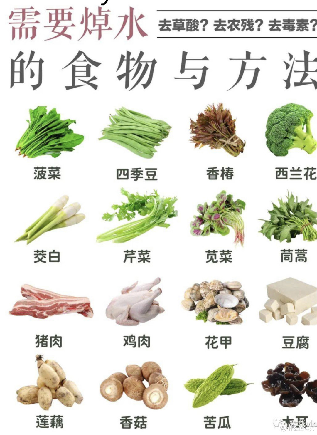 美食安全指南:探秘食材源头,解读食品标签,分享健康烹饪技巧