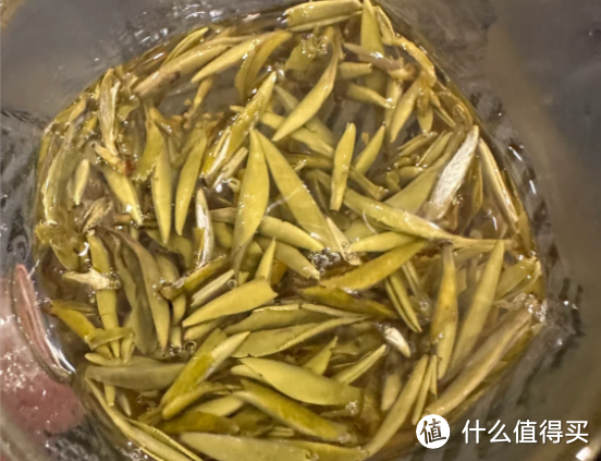 十大顶级茉莉花茶品牌排名！