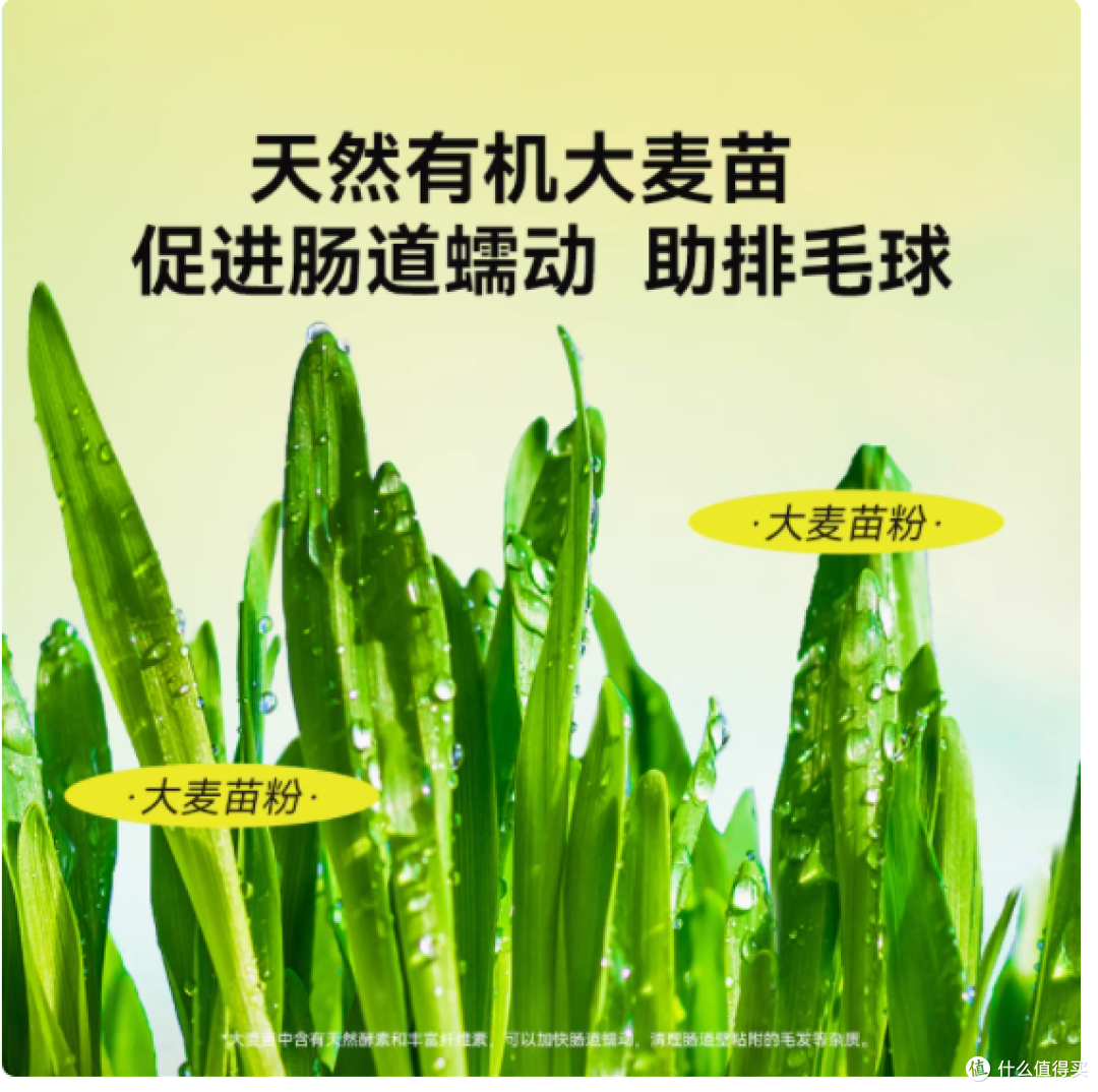 神经猫旗舰店猫薄荷饼干:猫咪的健康美味之选
