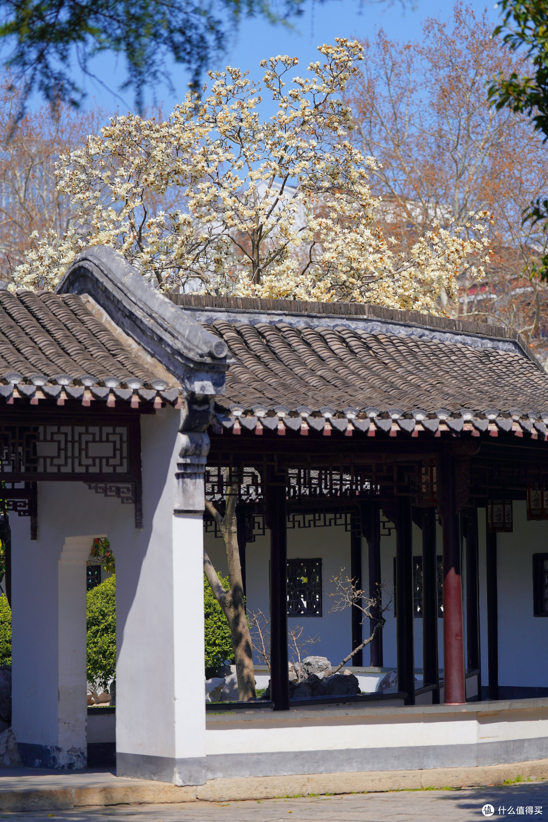 春风又绿江南岸~寻味淮安的居停之所:万枫酒店