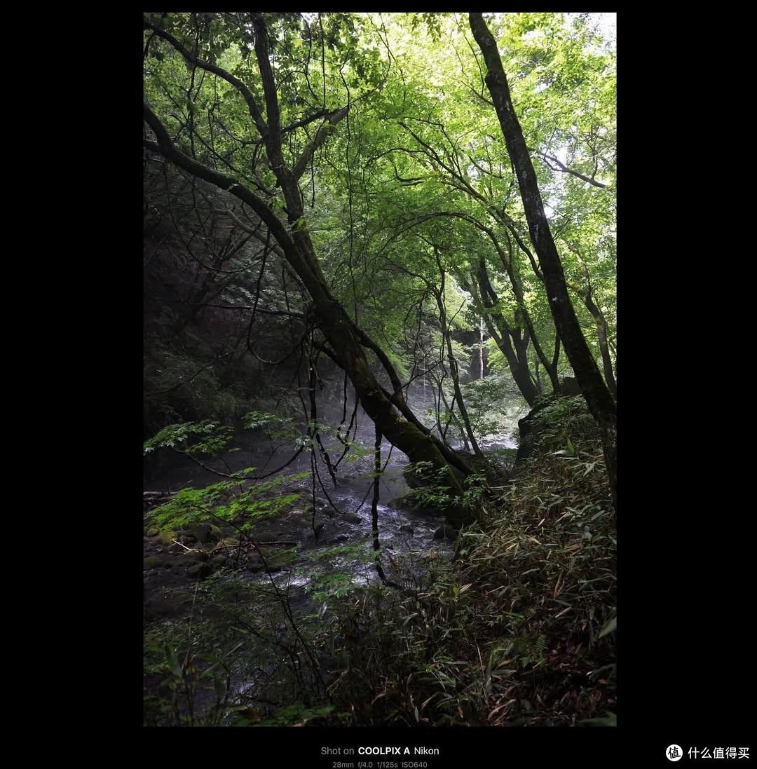 低调狠角色—尼康Coolpix A：不输 GR3，却被遗忘的半画幅神机