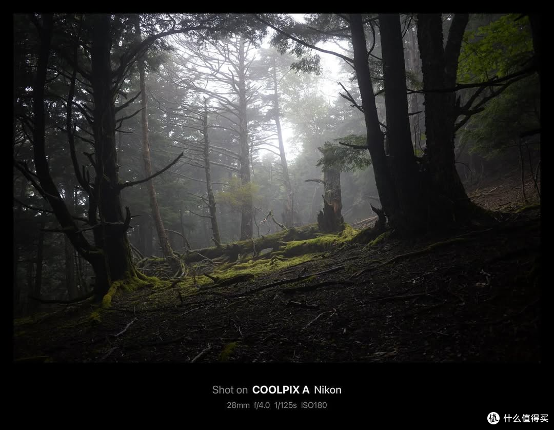 低调狠角色—尼康Coolpix A：不输 GR3，却被遗忘的半画幅神机