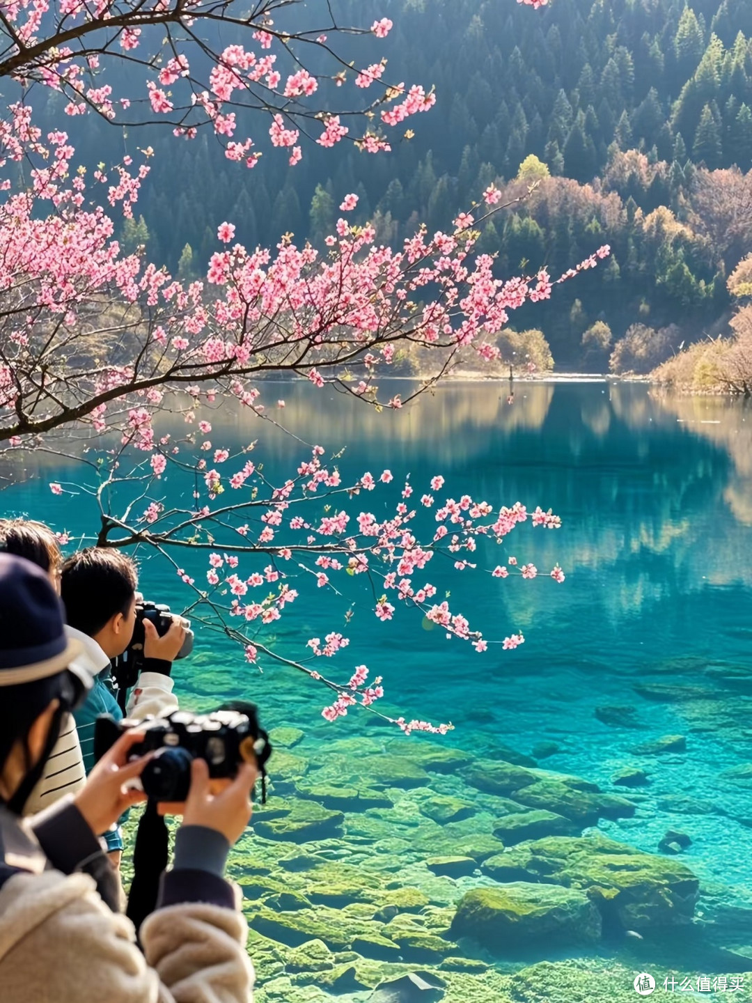  九寨沟春醒，花影藏着整个春天