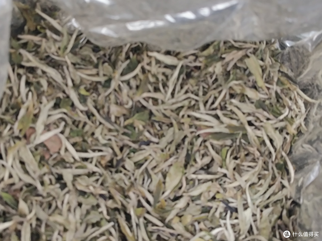 当白茶成了“金融茶”：一个老茶客的自我坚持与自救指南