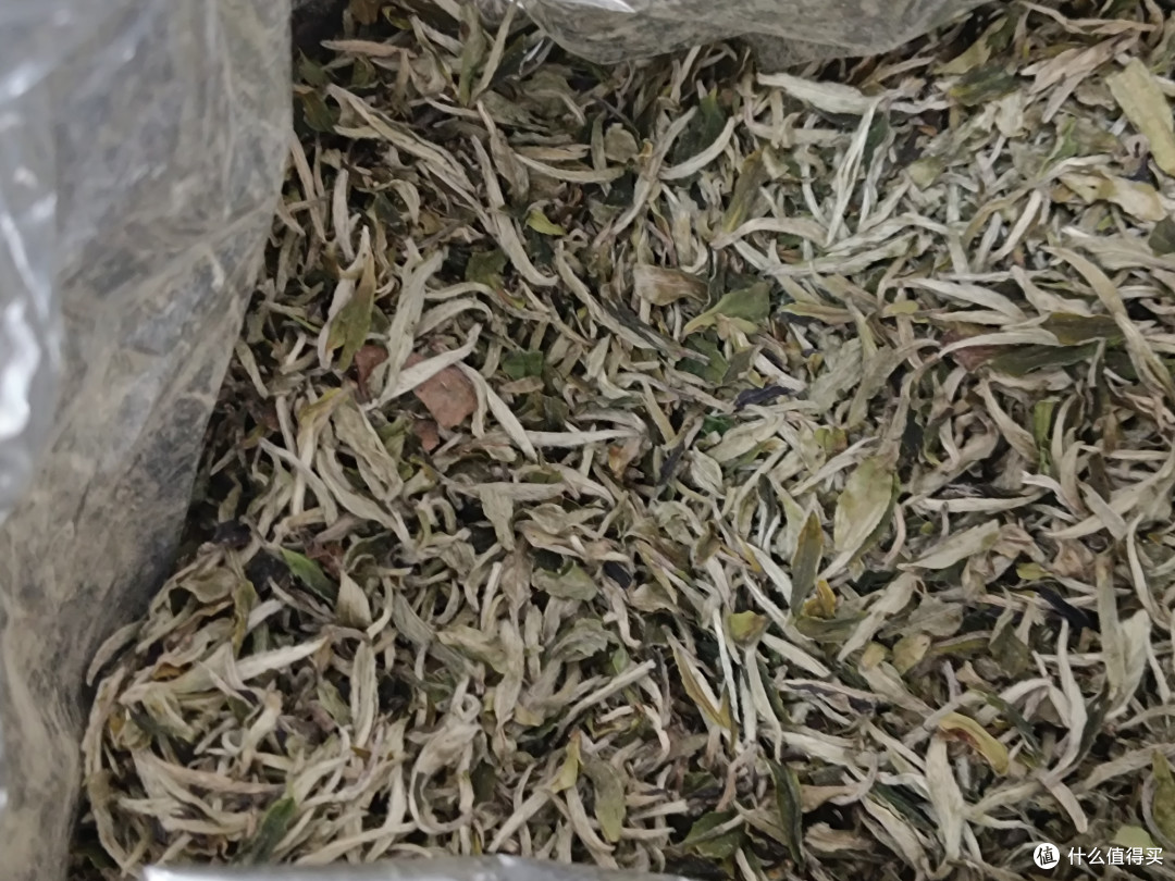当白茶成了“金融茶”：一个老茶客的自我坚持与自救指南
