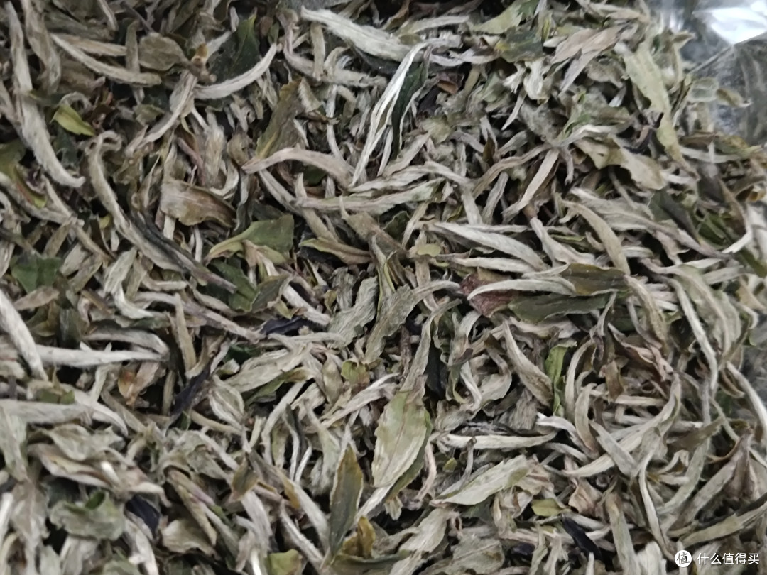 当白茶成了“金融茶”：一个老茶客的自我坚持与自救指南