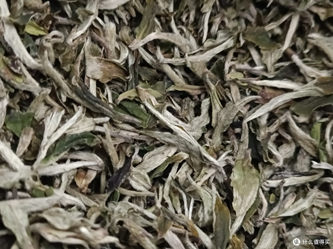 当白茶成了“金融茶”：一个老茶客的自我坚持与自救指南
