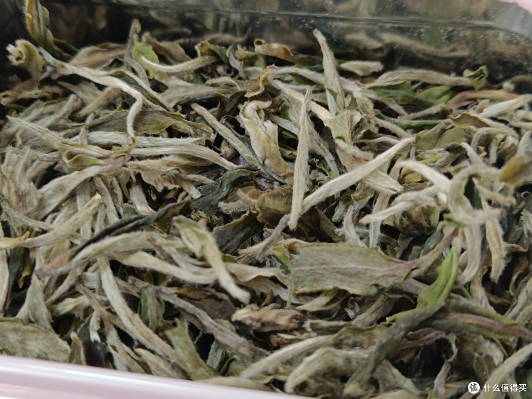 当白茶成了“金融茶”：一个老茶客的自我坚持与自救指南
