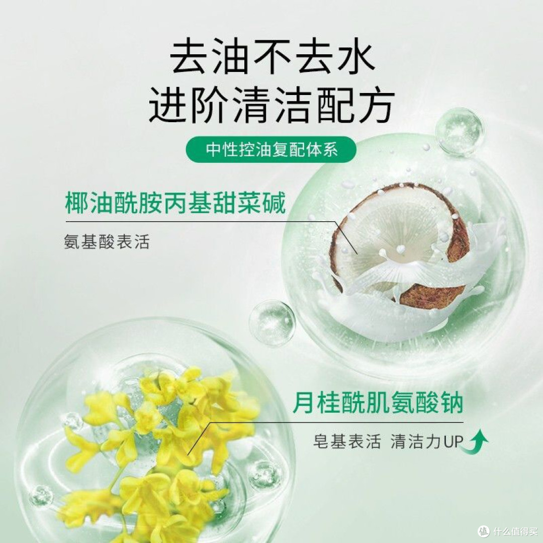 雅莎尔茶多酚控油泡沫清爽净撤温和清洁洗面奶洁面慕斯150/120ml