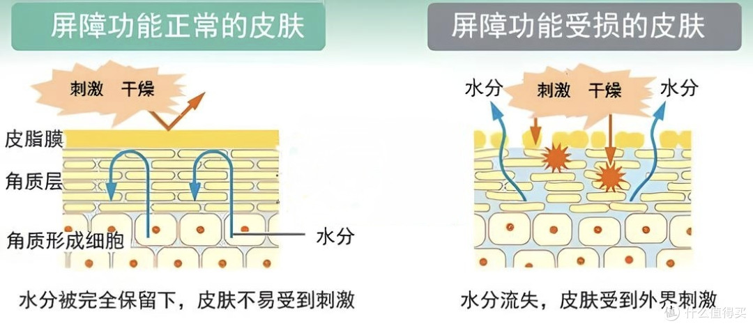 秋冬皮肤痒,十年寻应对之策