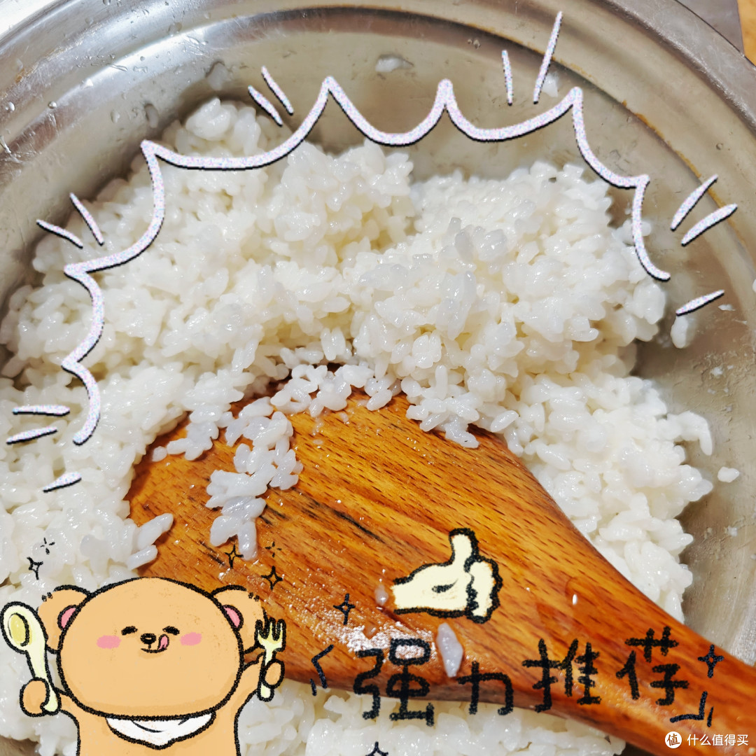 露营正当时！美味的海苔饭团和寿司卷制作分享！