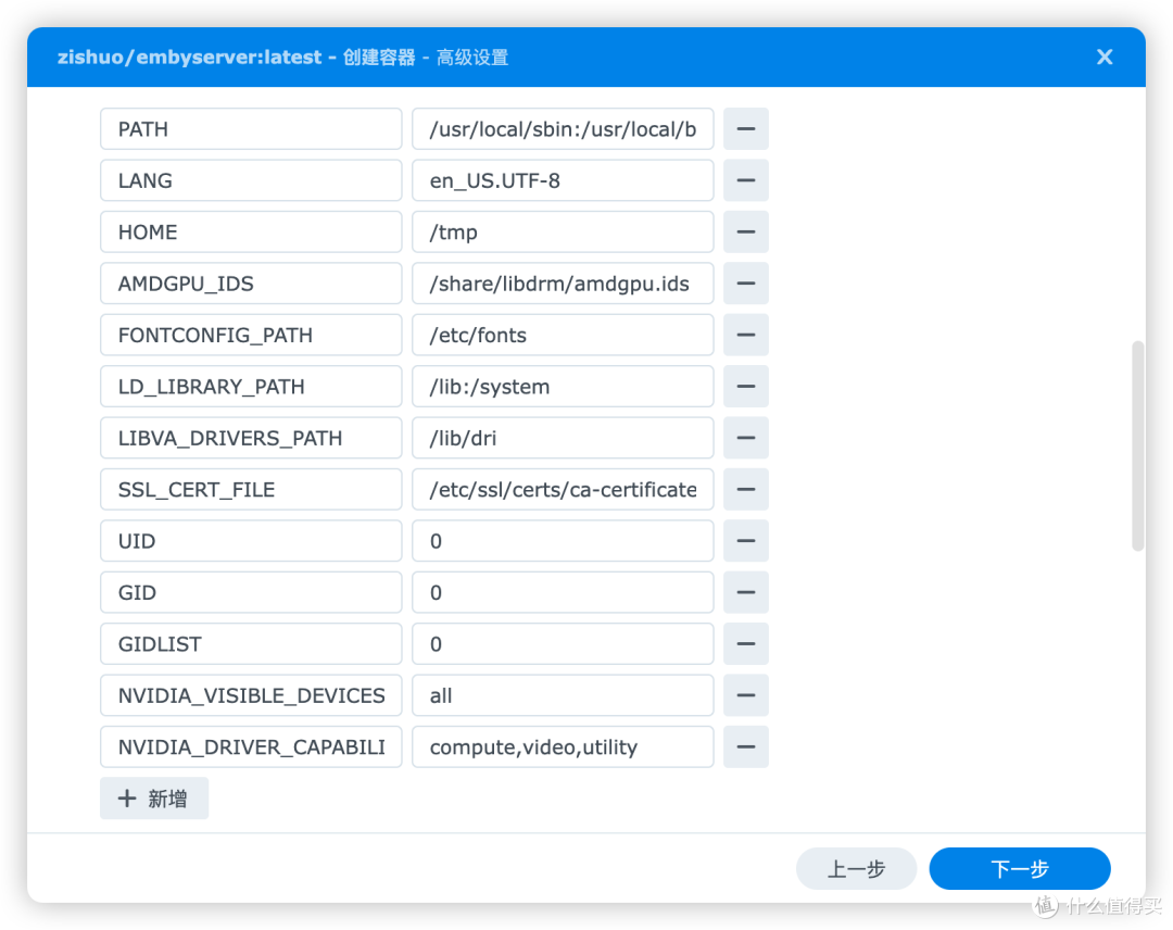 Emby容器环境变量设置