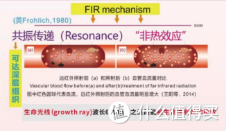 同云烯灸房科技探秘：石墨烯远红外热疗的科学解读