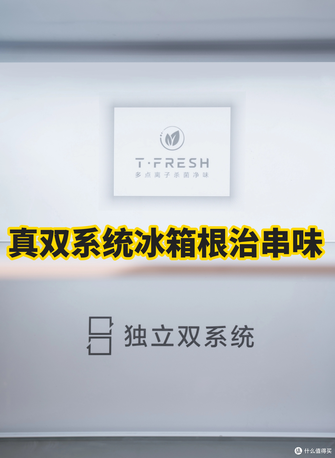 国货冰箱逆袭,TCL冰麒麟深冷冰箱闪耀AWE,这波我站国产