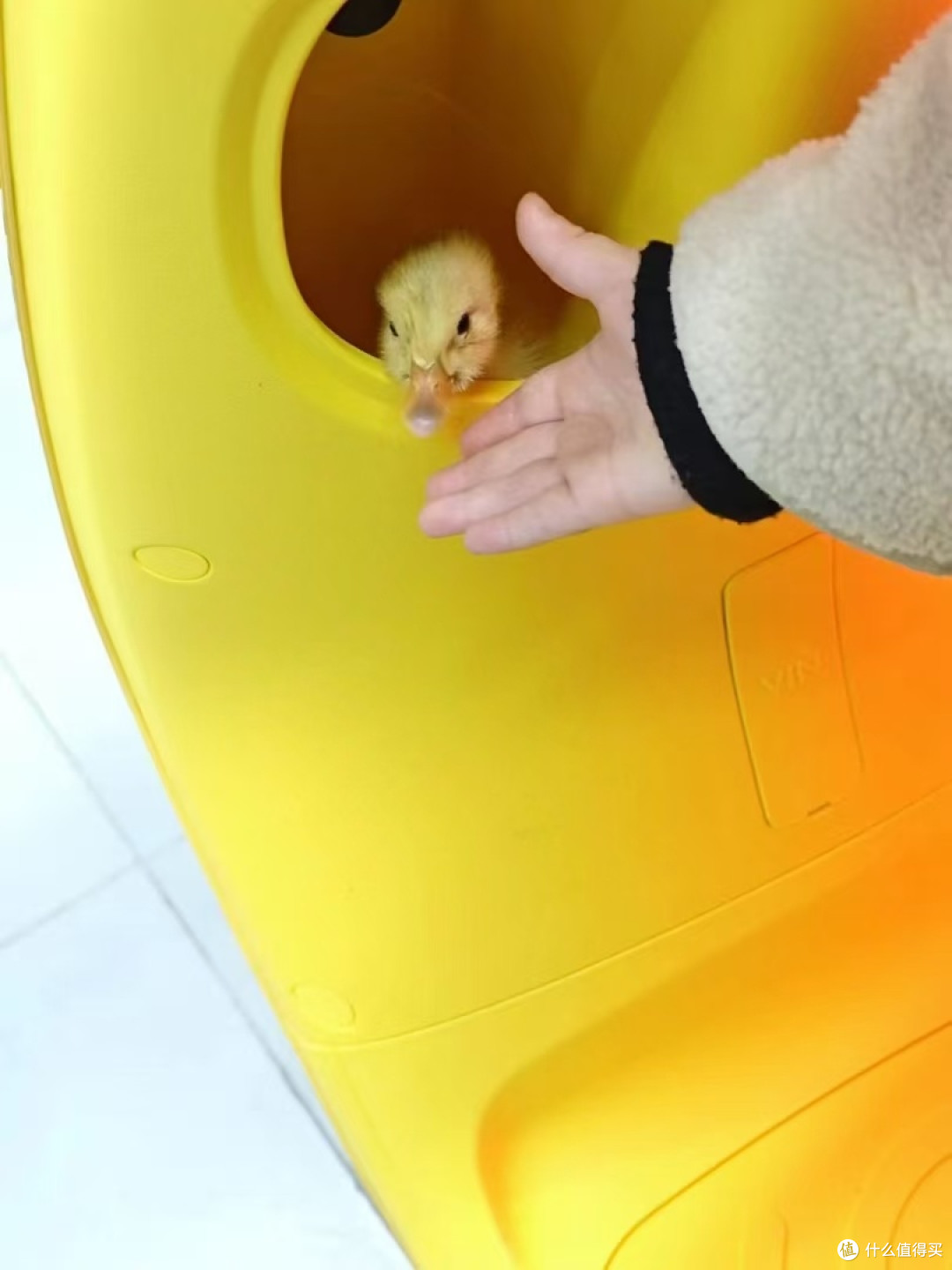 小黄鸭和小Q都太萌啦！
