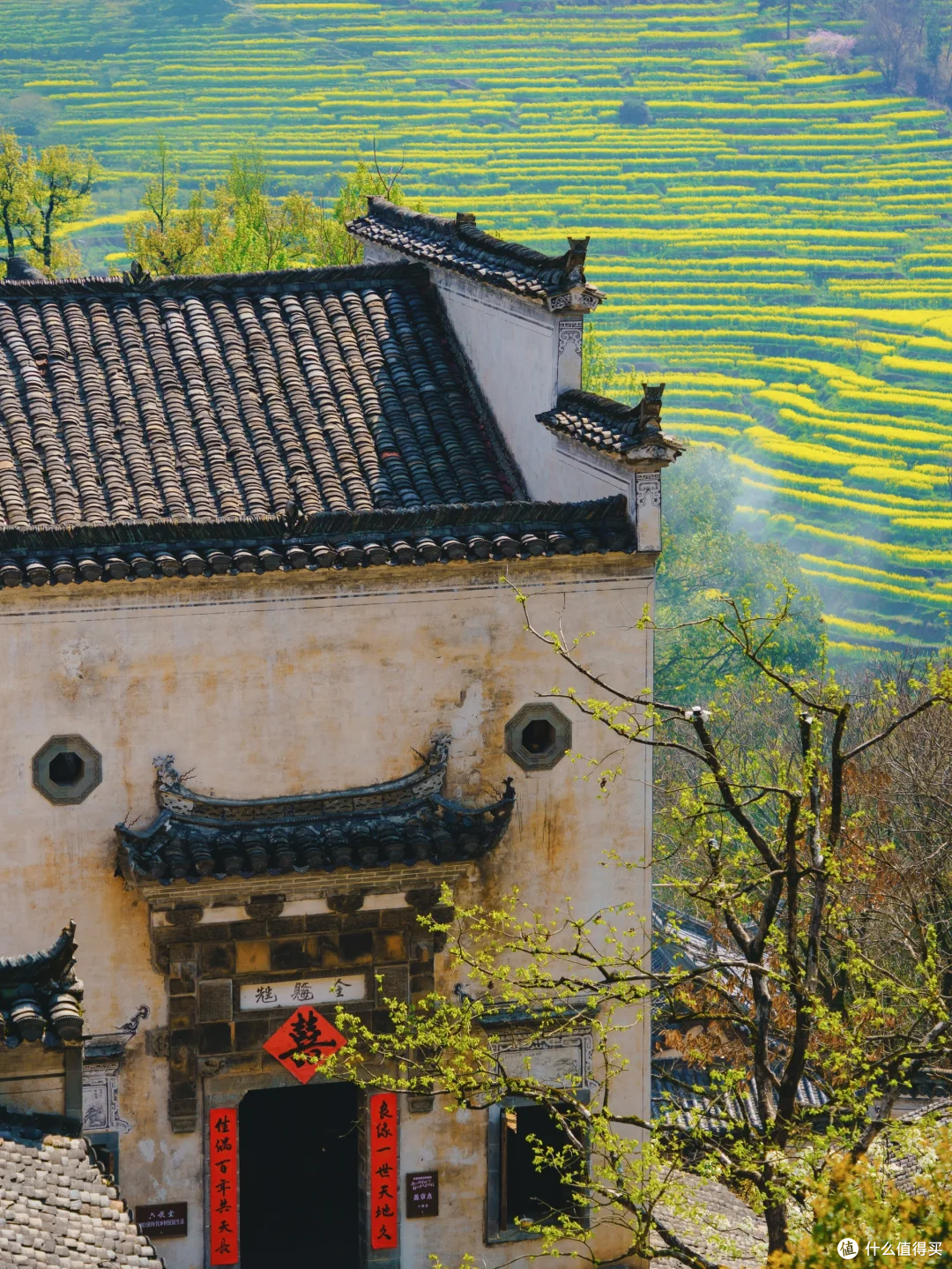 春日婺源,旅行的梦幻天花板