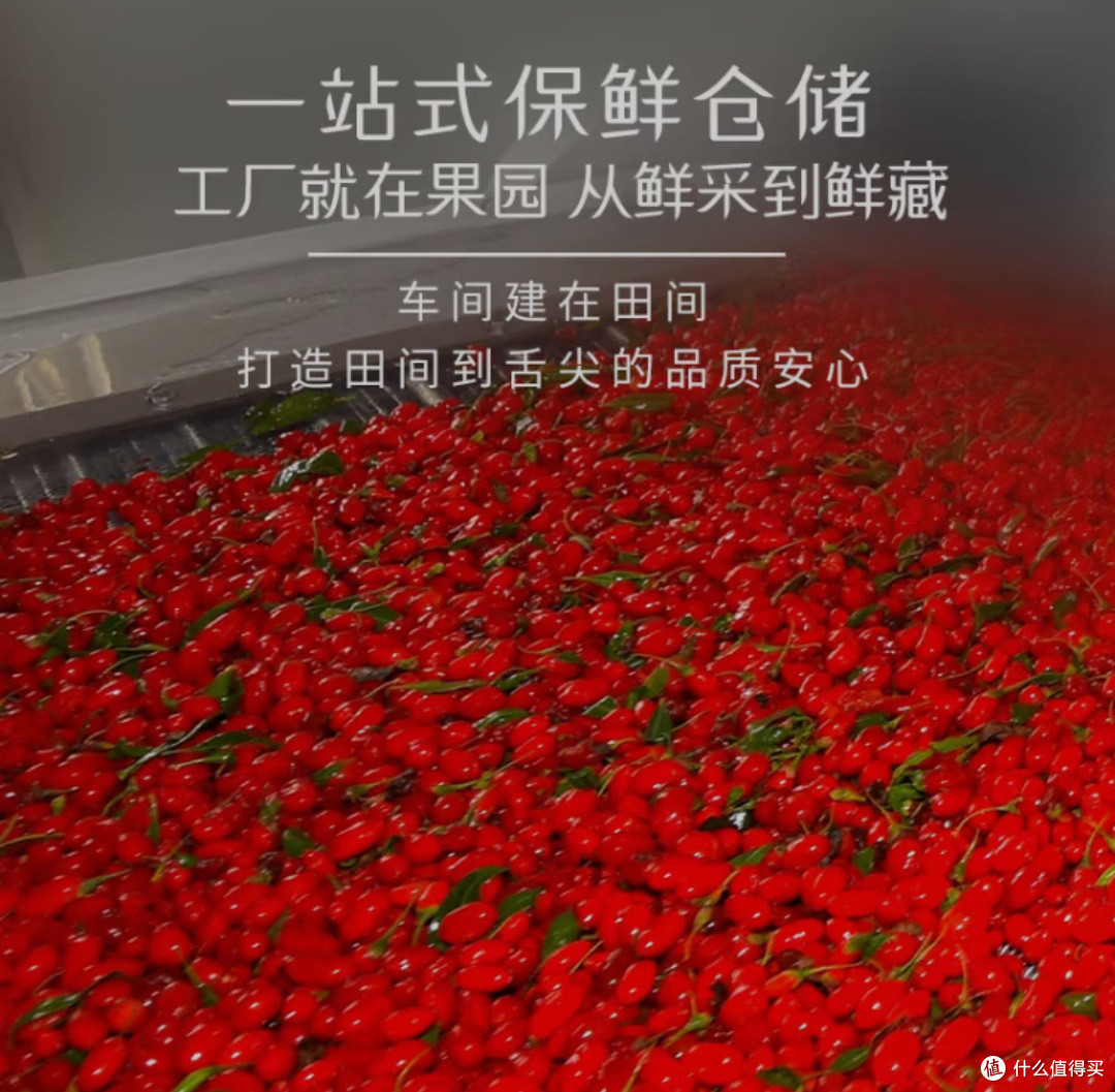 枸杞:自然馈赠与人类智慧的结晶