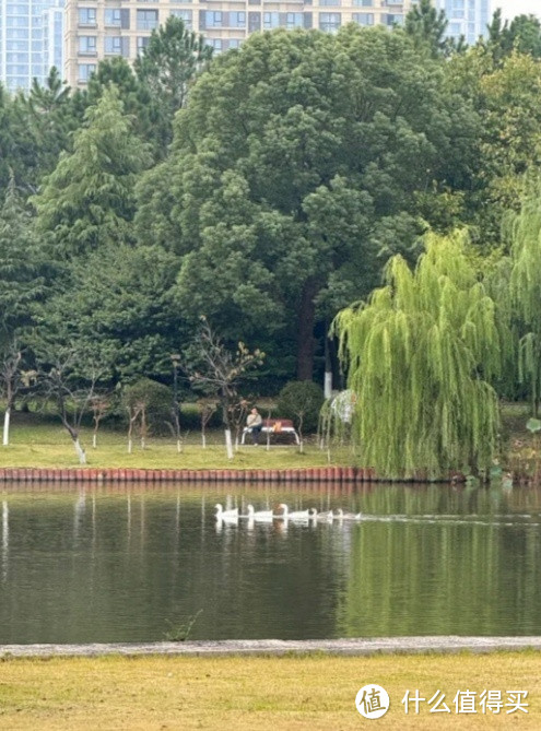 城市微旅行：探寻隐匿的自然绿洲