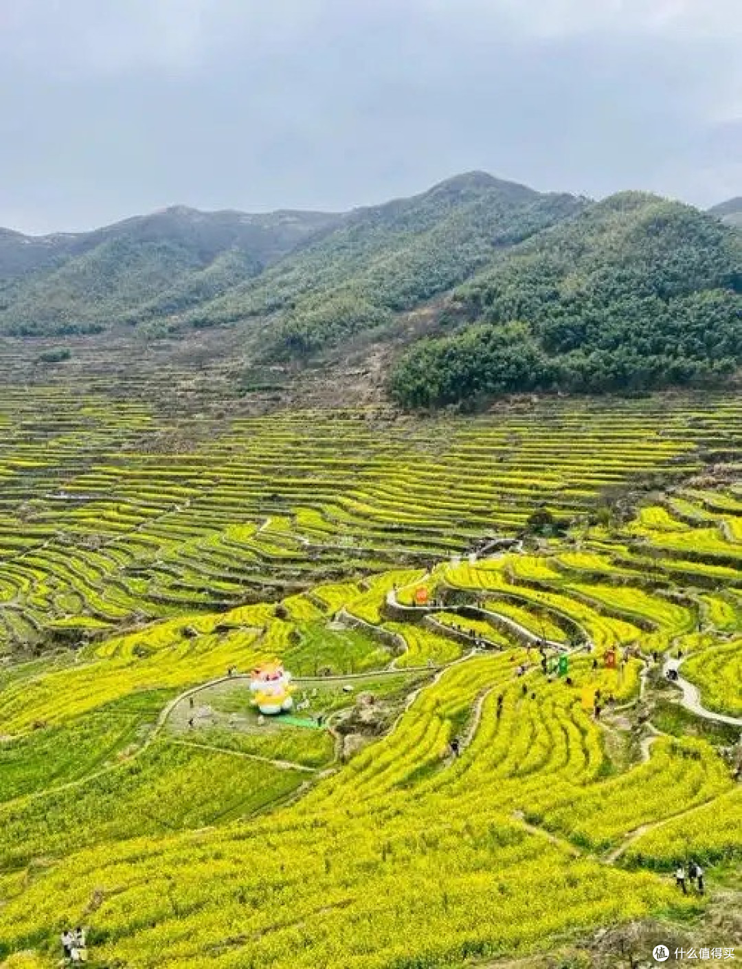 周末自驾上虞覆卮山,探秘千年梯田与冰川石浪的春日奇遇!