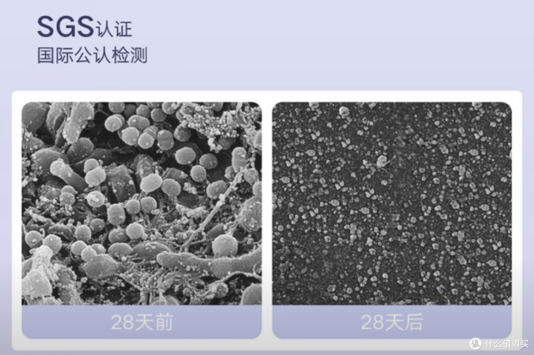 米家电动牙刷T302：口腔清洁的超值之选