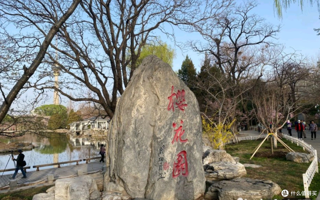 北京玉渊潭:春天里的花海漫游