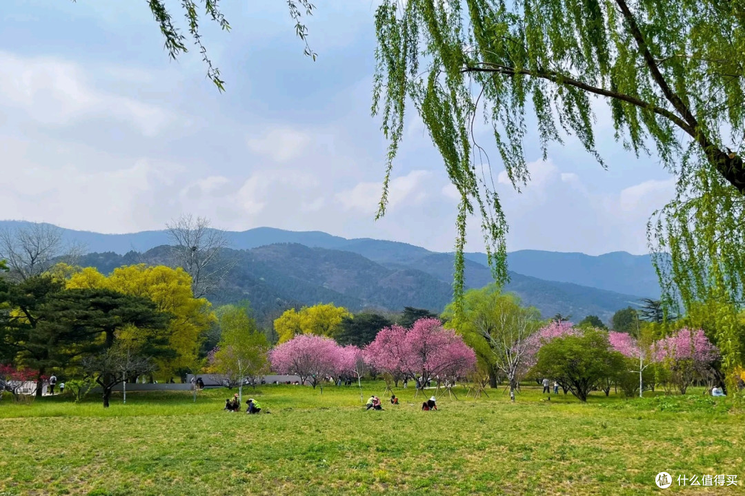 国家植物园赏花之旅：春日里的绚烂篇章