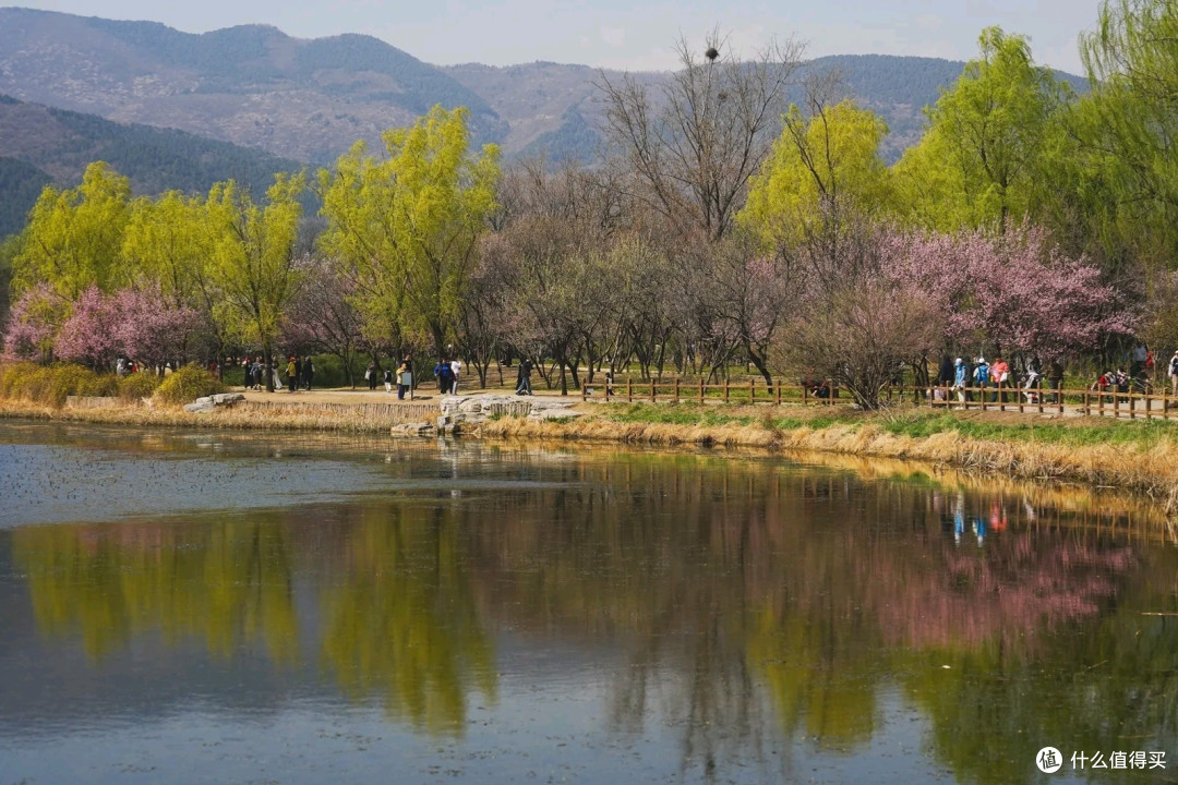 国家植物园赏花之旅：春日里的绚烂篇章