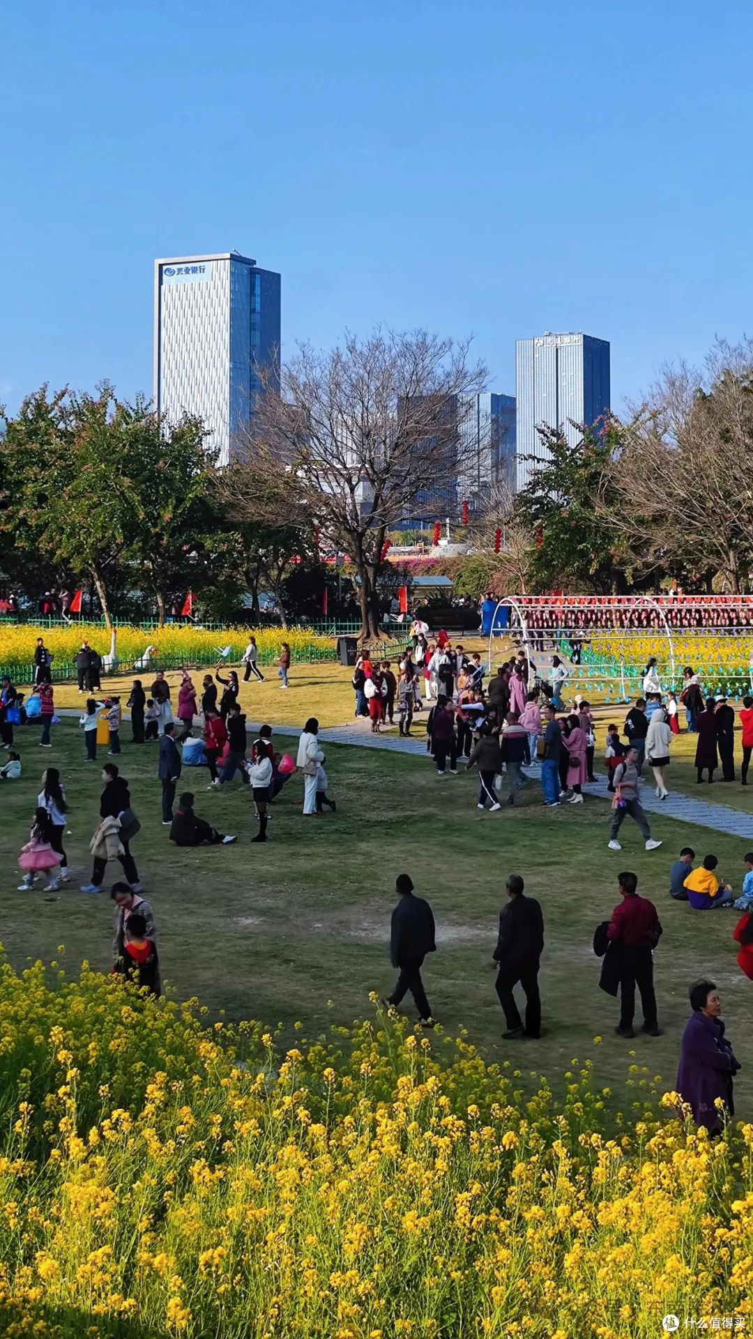 福州花海公园：我在春日花海里走花路