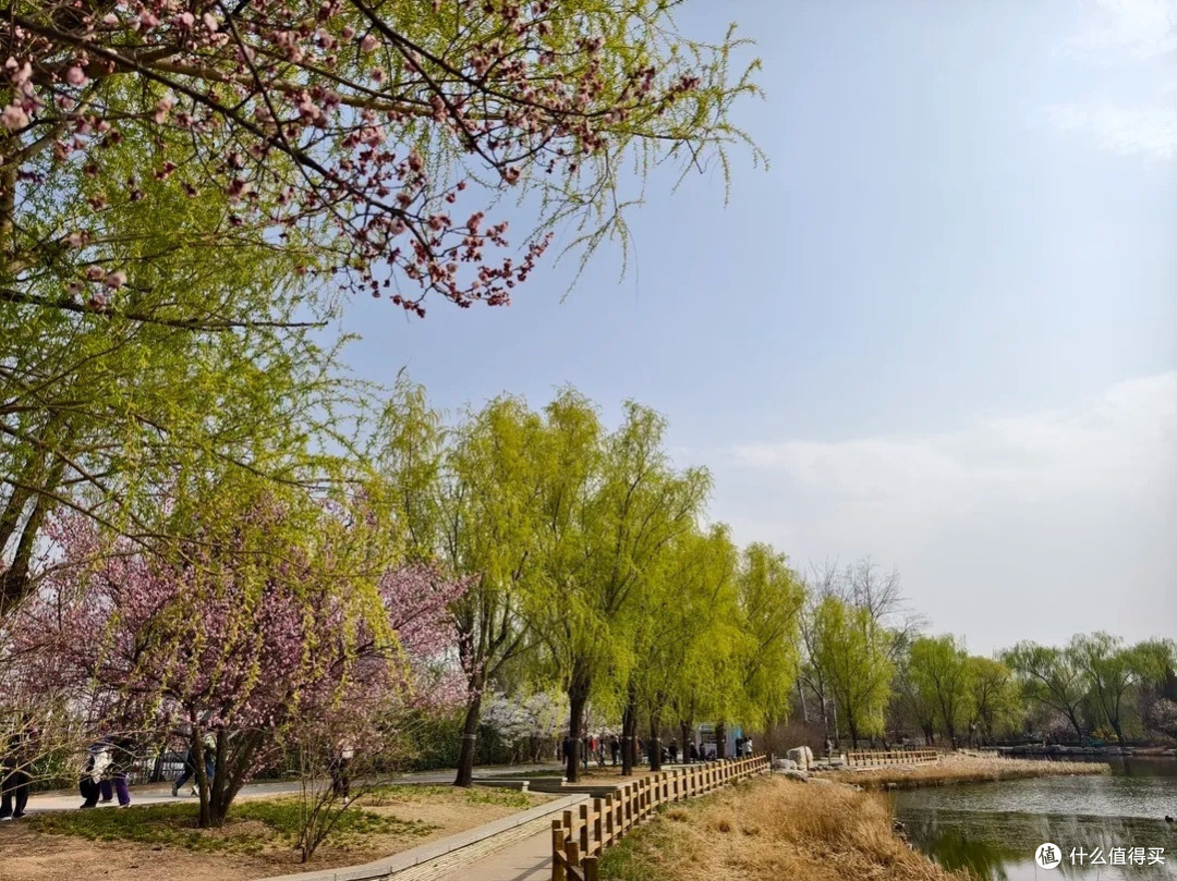 国家植物园三月赏花之旅