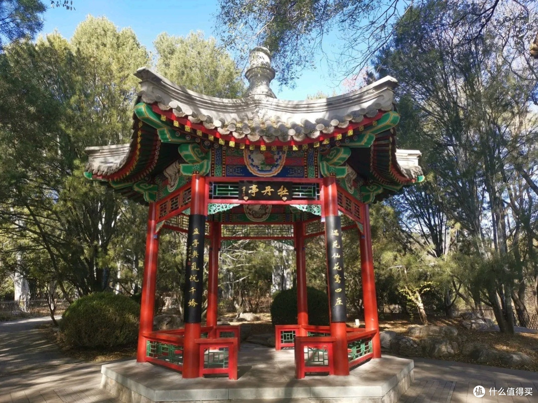国家植物园三月赏花之旅