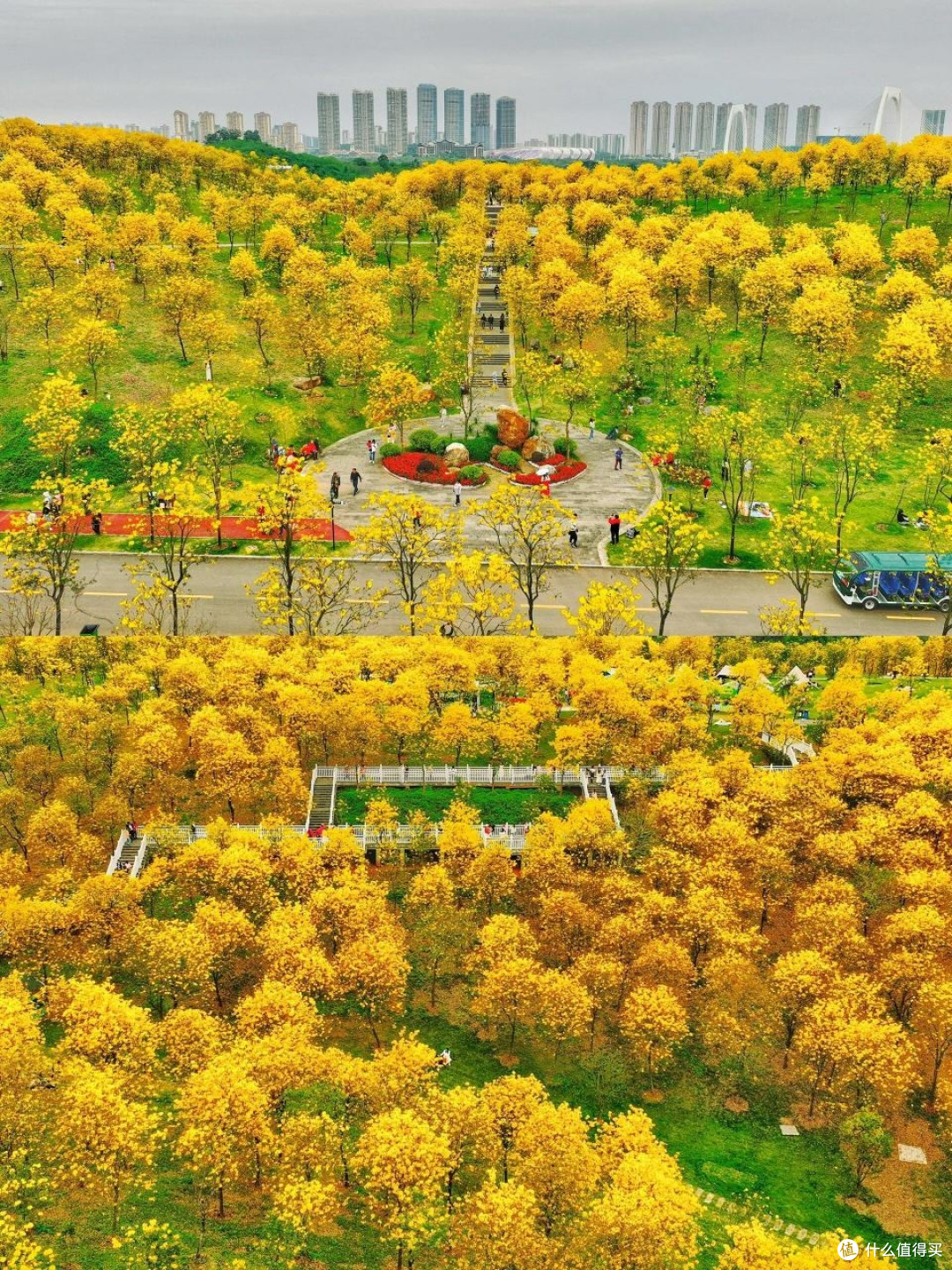 三月广西：踏春赏花，探寻八桂花路之旅