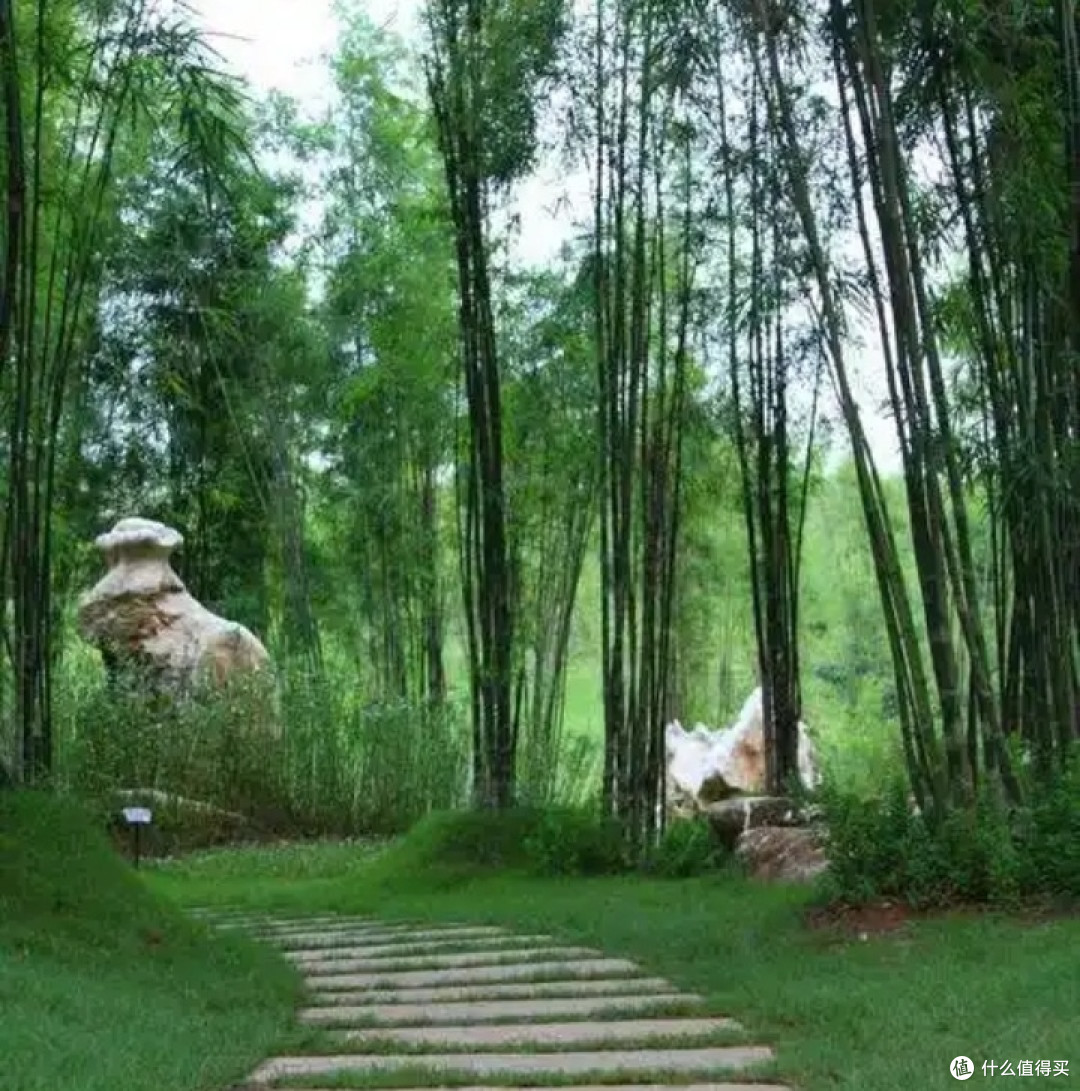 三月广西：踏春赏花，探寻八桂花路之旅