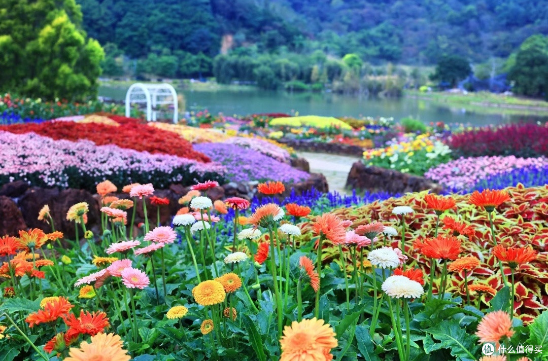 三月广西：踏春赏花，探寻八桂花路之旅