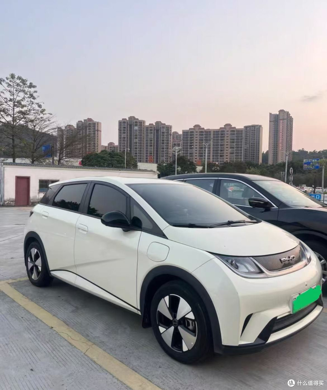 十万预算通勤首选:比亚迪海豚
