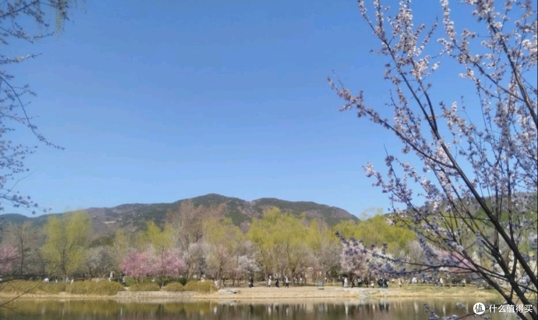 国家植物园赏花之旅:春日里的视觉盛宴