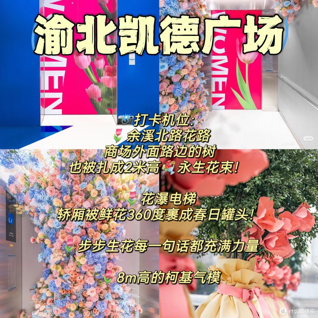 重庆春日已成花海🌷十个拍照打卡地合集!